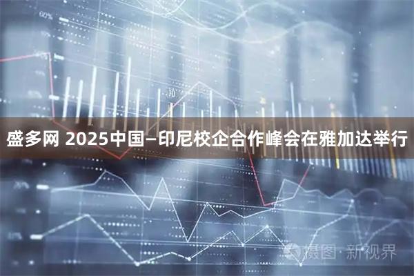 盛多网 2025中国—印尼校企合作峰会在雅加达举行