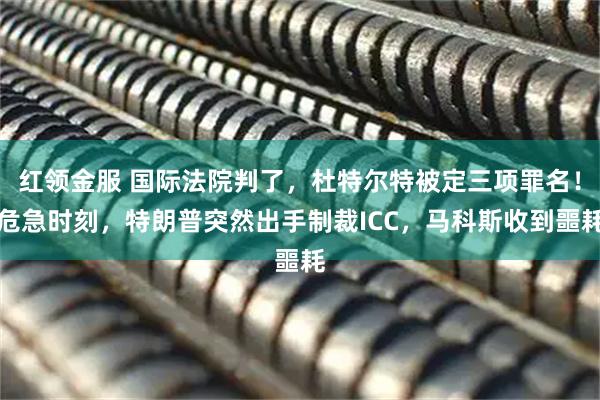 红领金服 国际法院判了，杜特尔特被定三项罪名！危急时刻，特朗普突然出手制裁ICC，马科斯收到噩耗